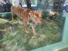 -国家自然博物馆