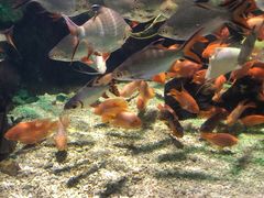 -太平洋海底世界