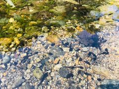 -碓臼峪自然风景区