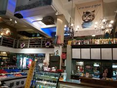 -猫咪博物馆(顶澳仔猫街店)