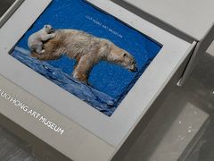 -罗红摄影艺术馆