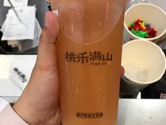 -桃乐满山(川沙百联店)