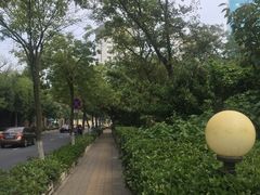 -向日葵咖啡
