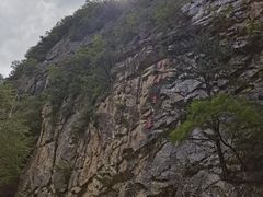 -青峰峡国家森林公园