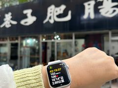 -巷子肥肠(科华巷店)