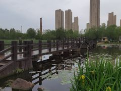 -前关湿地公园