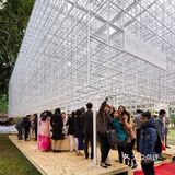 河内街头的市场 