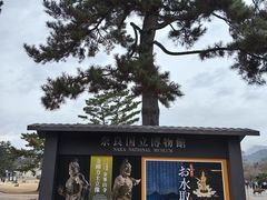 -奈良公园