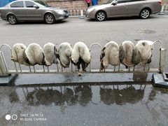 -年记·兴顺斋 牛街清真熟食小吃店