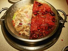 -小龙坎火锅(春熙太古里店)