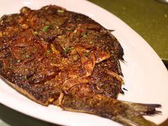 -小杨烤肉(朱雀店)