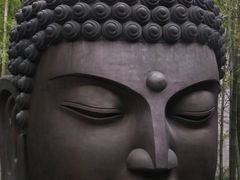 -杭州植物园