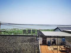 -渔娘蟹庄(阳澄湖莲花岛店)