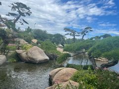 -罗红摄影艺术馆