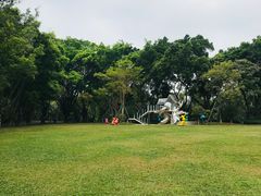 -银湖山郊野公园-相思林