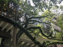 -香港大学
