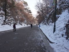 -北山公园