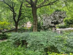 -申粤轩酒楼·三十年粤菜经典(丁香花园店)