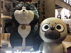 -石屋料理(南京西路店)