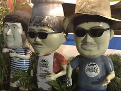 -Ohkajhu Organic Farm Sansai