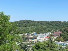 -BHC炸鸡(明洞总店)