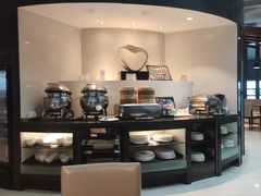 -虹桥机场国航贵宾室v8