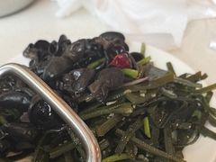 -蝎王府羊蝎子(北大地店)