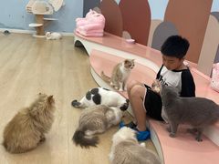 -1013 PET SHOP 宠物商店(近铁城市广场店)