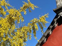 -大慈恩寺(大雁塔)