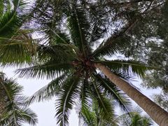 -三亚西岛海洋文化旅游区