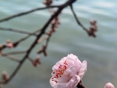 -颐和园