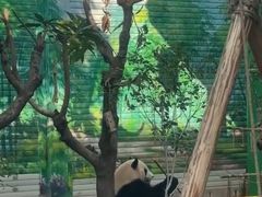 -灵玲国际马戏城