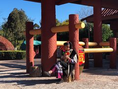 -云南民族村