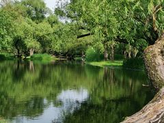 -上海共青森林公园