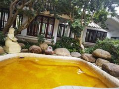 -余姚阳明温泉山庄