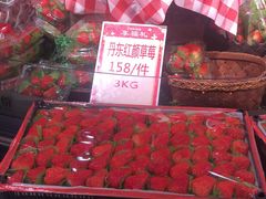 -超级物种(省府店)