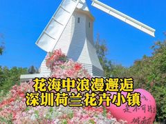 -麗枫酒店(深圳机场福永地铁站店)