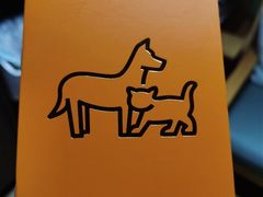 -东方名猫馆·英短金渐层布偶猫舍(环线广场1号楼店)