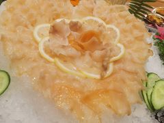象拔蚌-顺峰(农展馆店)