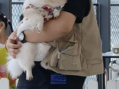 -怪兽屋·羊驼·猫咖·狗咖(俊华广场店)