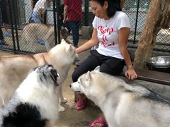-TrueLove @ Neverland (Husky Cafe)