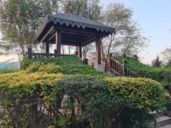 -蒲河岛湿地公园