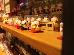 -猫咪博物馆(顶澳仔猫街店)