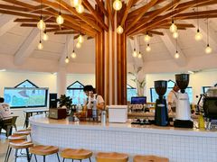 -ChanDu躔度咖啡(灯塔店)