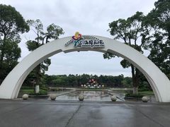-上海鲜花港