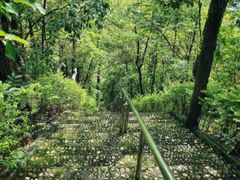 -神光山国家森林公园