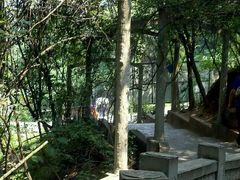 android_upload_pic-成都老君山