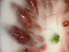 -517烧烤·龙虾·海鲜大排档(万象都荟店)