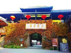 -藏龙百瀑风景区