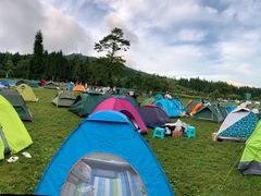 -武陵山森林公园